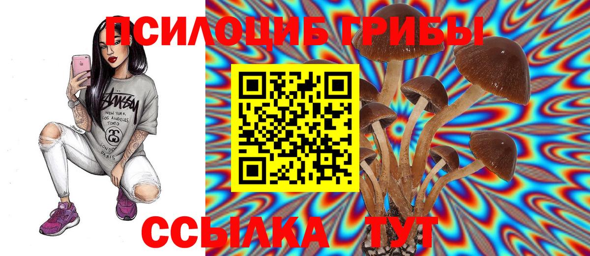 Псилоцибиновые грибы Cubensis Батайск